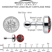 Load image into Gallery viewer, 16G 1/4 Black Snake Cartilage Tragus Earring by Onyx O