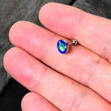将图片加载到图库查看器,16G 1/4 Pufferfish Cartilage Tragus Earring by Onyx O