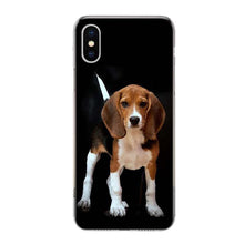 将图片加载到图库查看器,Beagle Dog Phone Case For Iphone 11 13 14 Pro Max 12 Mini Phone Case X Xs Xr 6 6s 8 7 Plus Se 5 5s Cover Snuggle Beagle Puppy Dog Hard Case