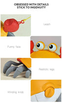 Load image into Gallery viewer, Bath Toys Crab Clockwork Baby Infant Water Beach Toys For Baby Bath Tub Swim Shower Game Bathroom Toy For Kids