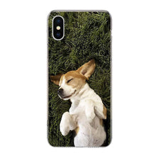 将图片加载到图库查看器,Beagle Dog Phone Case For Iphone 11 13 14 Pro Max 12 Mini Phone Case X Xs Xr 6 6s 8 7 Plus Se 5 5s Cover Snuggle Beagle Puppy Dog Hard Case