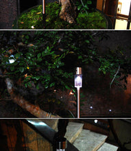 Load image into Gallery viewer, Garden Premium LED Solar Luxury Stainless Steel Lights For Yard Pathway Walkway More Pieces Outdoor
