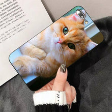 将图片加载到图库查看器,Cute Cat Black Phone Case For IPhone 13 8 7 6 6S Plus X 5 5S SE 2020 XR 11 Pro XS MAX Slim Fit Soft Print Design Flexible Silicone Cover For iPhone