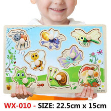 Load image into Gallery viewer, New Hand Grab Board Wooden Puzzle Toys for Children Cartoon Animal Fruit Kids Baby Early Educational Learning Toy