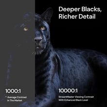 Load image into Gallery viewer, Valerion StreamMaster Plus 2 & Plus | 4K RGB Triple Laser Projector