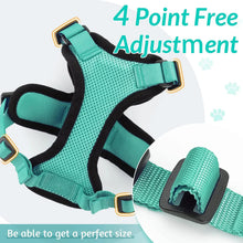 Load image into Gallery viewer, Cat Harness and Leash – Soft Adjustable Escape-Proof Vest for Walking Cats