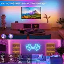 Load image into Gallery viewer, 5V RGBIC Neon Strip Lights – Bluetooth USB LED Ribbon