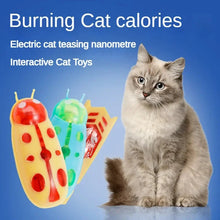 将图片加载到图库查看器,Interactive Mini Electric Bug Cat Toy – Battery Operated Flip Beetle