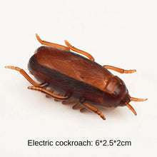 将图片加载到图库查看器,Interactive Mini Electric Bug Cat Toy – Battery Operated Flip Beetle