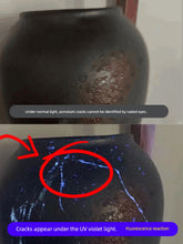将图片加载到图库查看器,Cat Moss Charging Fake Currency Detection Special Identification Black Light Bulb