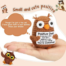 Load image into Gallery viewer, Funny Crochet Positive Inspirational Emotional Support Owl Doll Home Room Decoration Handmade Knitted Owl Desktop Ornament Gift