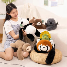 Load image into Gallery viewer, Kawaii Forest Animal Plush – Soft Raccoon, Dinosaur, Sloth, Panda Toy