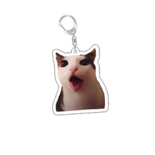 Load image into Gallery viewer, Funny Cat Memes Series Keychain Student Gift Bag Lanyard Women's Bag Pendant Keychain Cute Things Cheap Gift For Best Friends