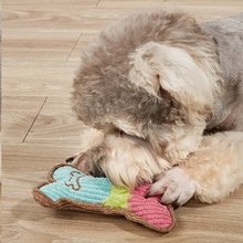 Load image into Gallery viewer, Dog Squeaky Toy - Plush Bone Chew Toy for Small & Medium Puppies