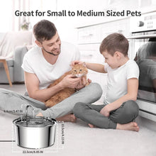 Load image into Gallery viewer, Stainless Steel Pet Water Fountain – USB Automatic Cat & Dog Bowl