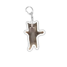 Load image into Gallery viewer, Funny Cat Memes Series Keychain Student Gift Bag Lanyard Women's Bag Pendant Keychain Cute Things Cheap Gift For Best Friends