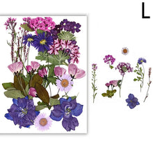 Load image into Gallery viewer, For Fun DIY Embossed Dried Flower Resin Fillings Real Flower for Home Decoration Nail Art Handicrafts Jewelry Making Crafts
