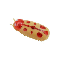 将图片加载到图库查看器,Interactive Mini Electric Bug Cat Toy – Battery Operated Flip Beetle