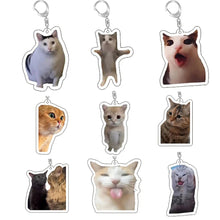 Load image into Gallery viewer, Funny Cat Memes Series Keychain Student Gift Bag Lanyard Women's Bag Pendant Keychain Cute Things Cheap Gift For Best Friends