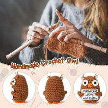 Load image into Gallery viewer, Funny Crochet Positive Inspirational Emotional Support Owl Doll Home Room Decoration Handmade Knitted Owl Desktop Ornament Gift