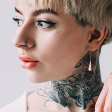 Load image into Gallery viewer, Elongated Teardrop Dangle Stainless Steel Hook Earrings