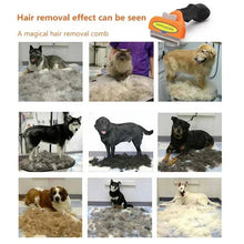 Load image into Gallery viewer, Cat & Dog Hair Removal Comb β Professional Grooming Brush for Shedding Control, Massage & Cleaning | Stainless Steel Deshedding Tool