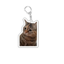 Load image into Gallery viewer, Funny Cat Memes Series Keychain Student Gift Bag Lanyard Women's Bag Pendant Keychain Cute Things Cheap Gift For Best Friends