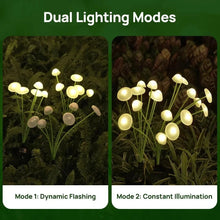 Load image into Gallery viewer, 6LED Solar Jellyfish Mushroom Lights β LED Garden & Lawn Solar Plug Lights