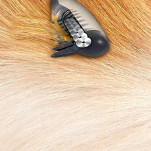 将图片加载到图库查看器,Allstar Innovations Electric Pet Grooming Comb