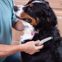 将图片加载到图库查看器,Allstar Innovations Electric Pet Grooming Comb