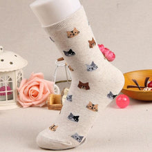 Load image into Gallery viewer, Autumn New Sock Animal Cartoon Cat Lovely Socks Combed Out Of Cotton Fashion Cute Short Socks Cat Print Stylish Color Cute Casual Socks For Men And Women