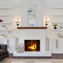 Load image into Gallery viewer, Battery Operated Carbon Monoxide Sensor Alarm