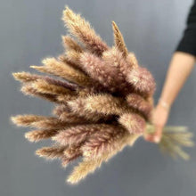 将图片加载到图库查看器,Bulrush Natural Dried Flowers Artificial Branch Pampas Grass Phragmites Fake Flower Wedding Home Decoration Christmas Decor