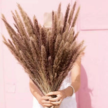 将图片加载到图库查看器,Bulrush Natural Dried Flowers Artificial Branch Pampas Grass Phragmites Fake Flower Wedding Home Decoration Christmas Decor