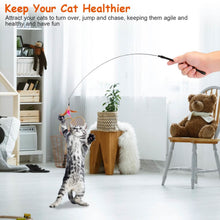 Load image into Gallery viewer, Cat Feather Wand Rod with 12 Pieces Feather Replacements for Cats