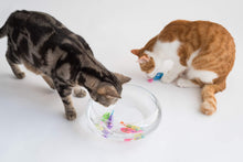 Load image into Gallery viewer, Cat Interactive Electric Fish Toy Water Cat Toy for Indoor Play Swimming Robot Fish Toy for Cat and Dog with LED Light Pet Toys New Bath Toys Interactive Plastic Fish Toys Electronic Cat Toy Gift to Stimulate Your Pet's Hunter Instincts