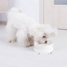 Load image into Gallery viewer, Ceramic Heated Pet Water Bowl Food Warmer