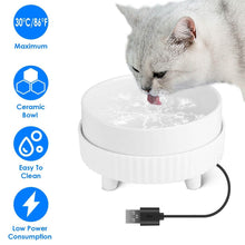 Load image into Gallery viewer, Ceramic Heated Pet Water Bowl Food Warmer