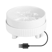 Load image into Gallery viewer, Ceramic Heated Pet Water Bowl Food Warmer