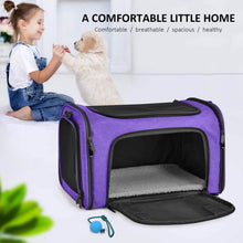Load image into Gallery viewer, Collapsible Cat Dog Carrier