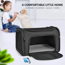 Load image into Gallery viewer, Collapsible Cat Dog Carrier