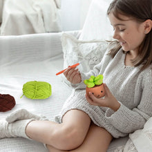 Load image into Gallery viewer, Crochet Kit for Beginners DIY Knitting Supplies