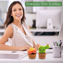 Load image into Gallery viewer, Crochet Kit for Beginners DIY Knitting Supplies