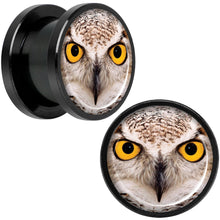 Load image into Gallery viewer, Full Color Owl Black Anodized Screw Fit Plug Set 1/2