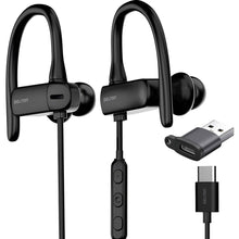 Load image into Gallery viewer, Delton 24ECA USB-C and USB-A Wired Earbuds with Microphone, Ergonomic In-Ear Design with Ear Hook