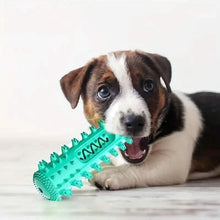 Load image into Gallery viewer, Dog Chew Toys Dog Toothbrush Stick