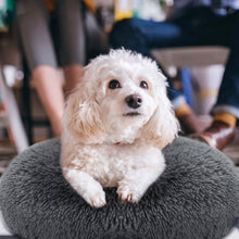 Load image into Gallery viewer, Dog Cozy Nest Sofa Bed Cushion