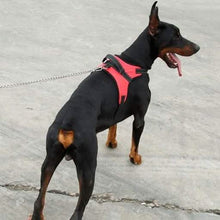 将图片加载到图库查看器,Dog Soft Adjustable Harness