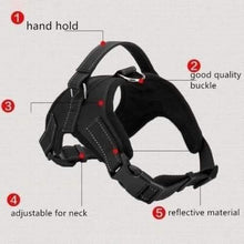 将图片加载到图库查看器,Dog Soft Adjustable Harness
