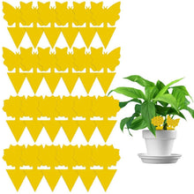 Load image into Gallery viewer, Double-Sided Flying Insect Yellow Sticky Trap